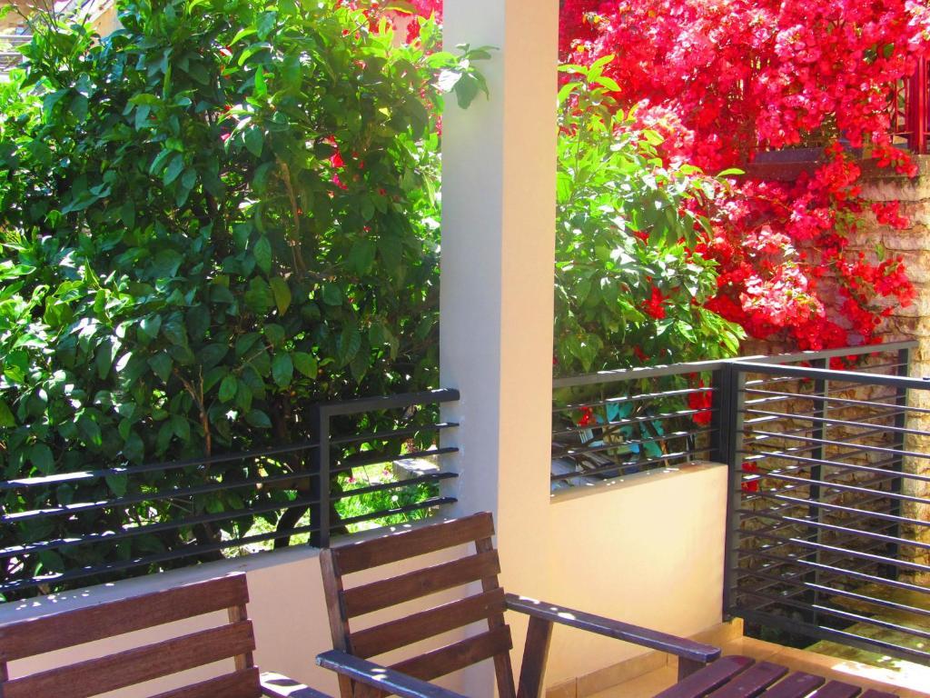 Apartments And Rooms Teona Budva Exterior photo